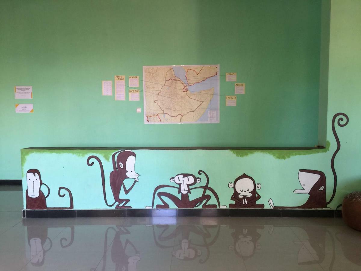 Gondar Backpackers Hostel Eksteriør bilde